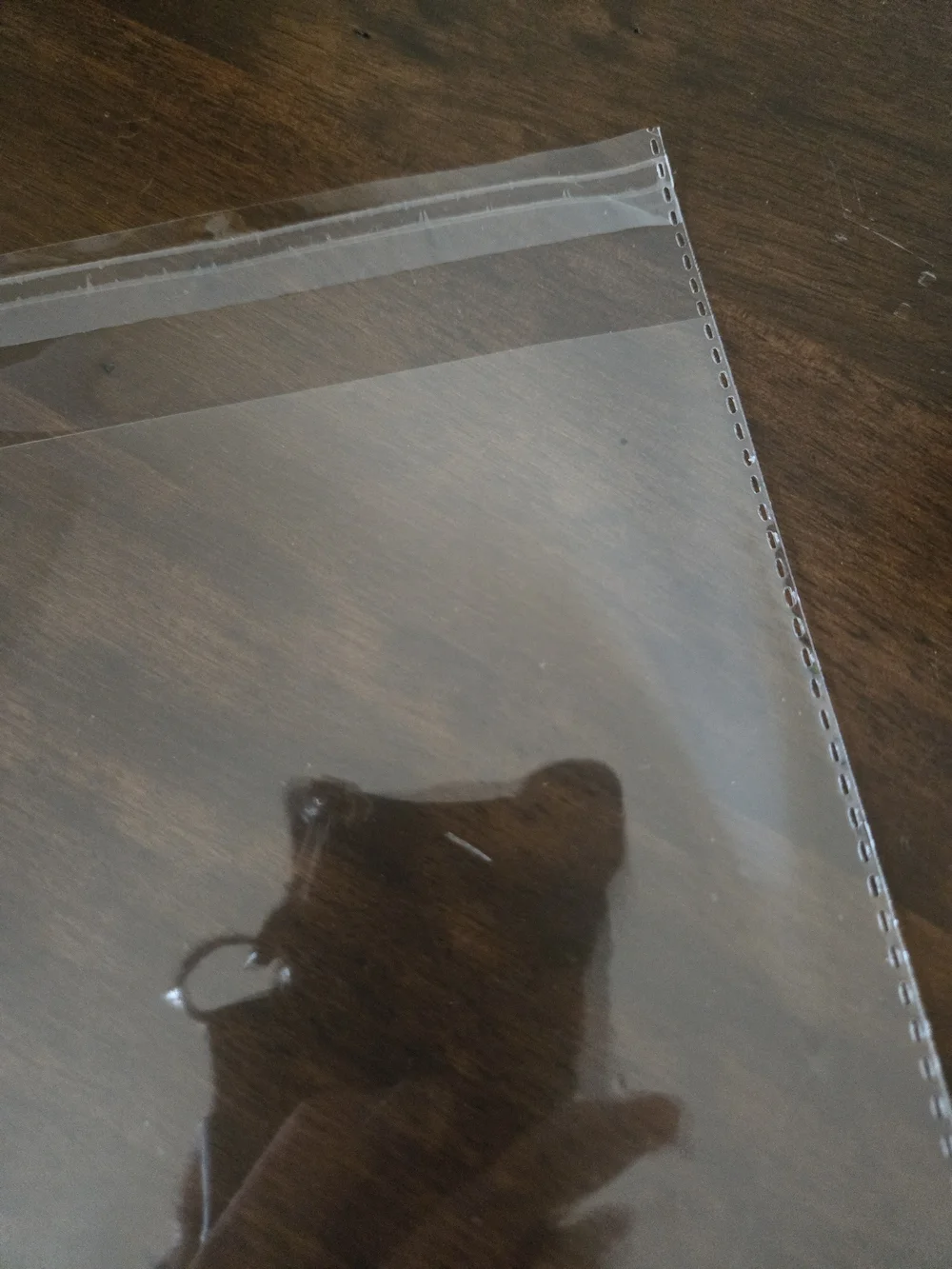 Clear Poly Resealable Packaging Bags  Professional Office Shipping Supply 10